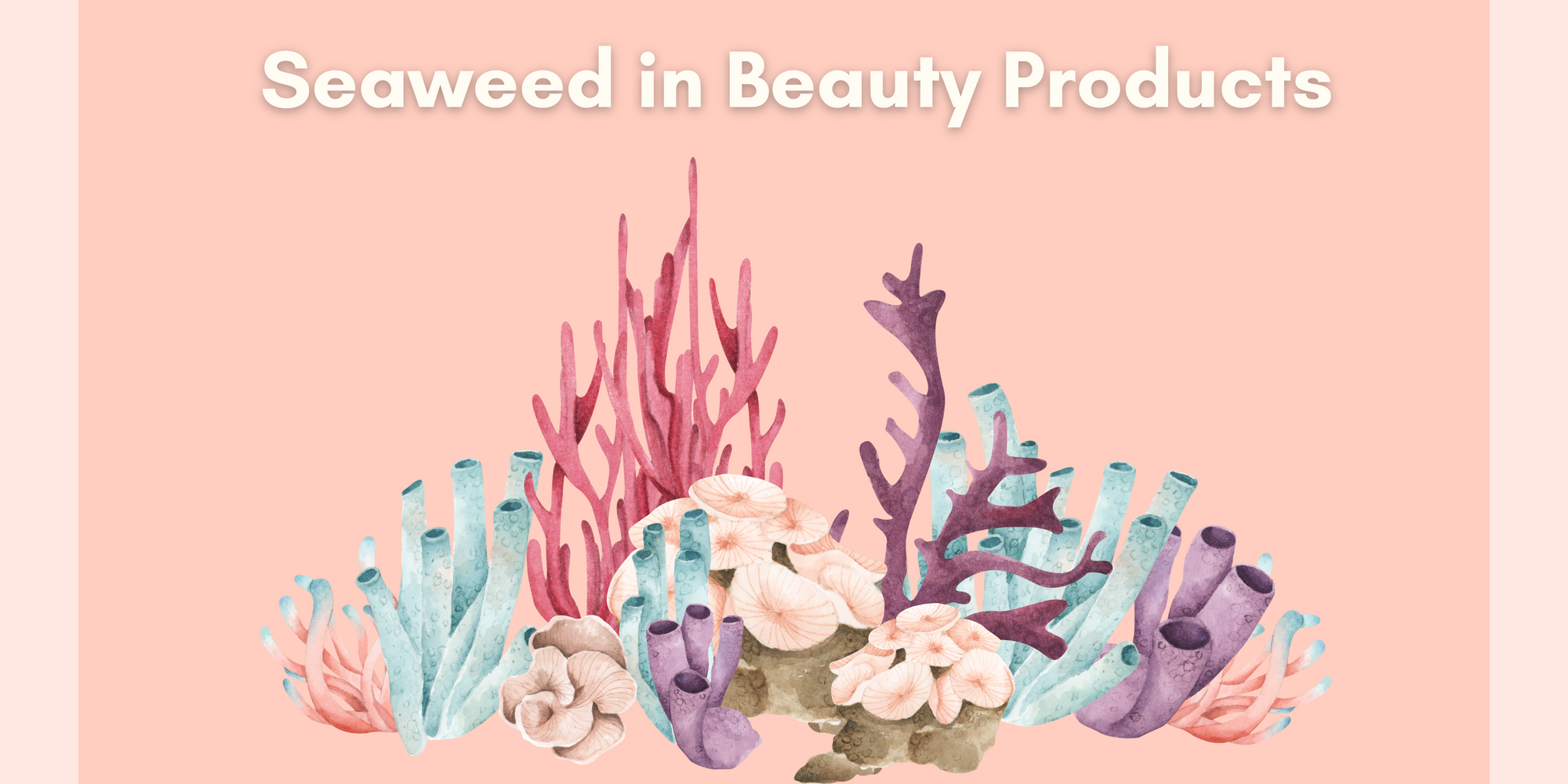 Benefits Of Seaweed In Beauty Products