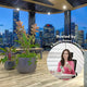 K-Beauty & Wellness Rooftop Experience